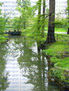 Wellington Luk - Park - Photography