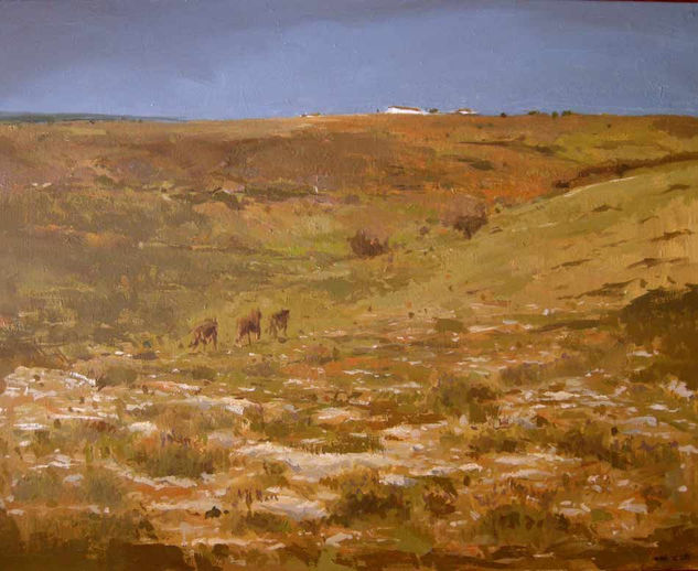 LAS MERINDADES, BURGOS Oil Canvas Landscaping