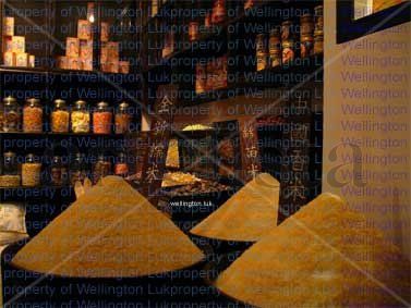 Wellington Luk -...