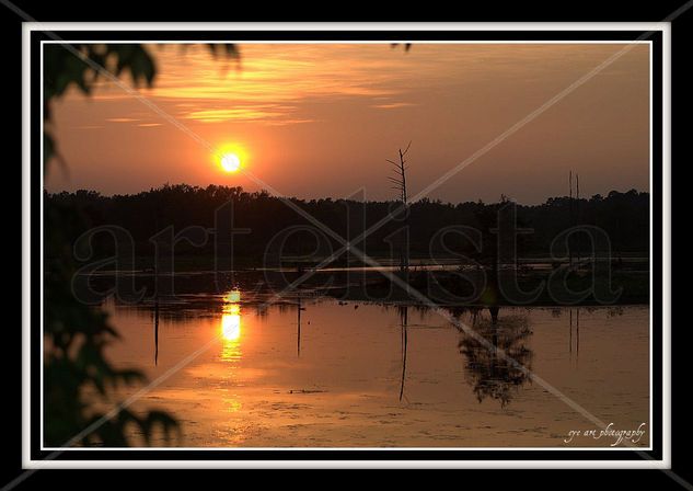 Bayou Sunset 