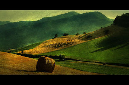 Textured landscape