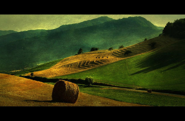 textured landscape