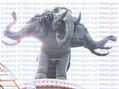 Wellington Luk - 3 Headed Elephant - Photography