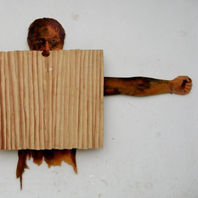 obra