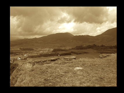 Teo