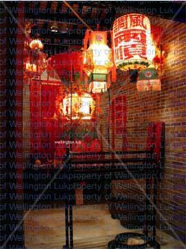 Wellington Luk - Chinese Lantern - Photography Bodegones Color (Digital)