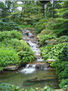 Wellington Luk - Garden - Photography