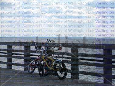 Wellington Luk - Bicycles - Photography Still lifes Color (Digital)