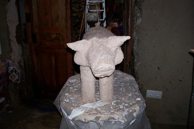 sheep