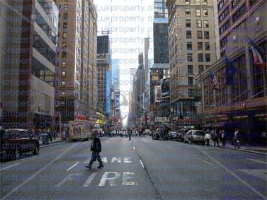 Wellington Luk - Street Perspective - Photography