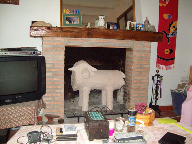 sheep