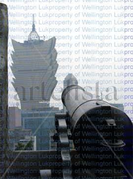 Wellington Luk - Cannon - Photography