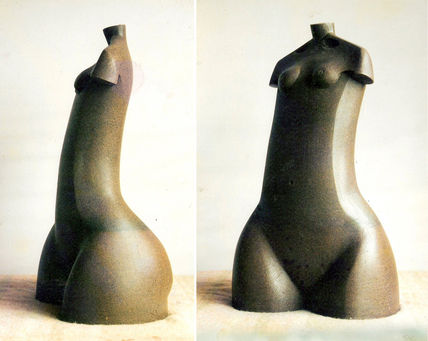 Torso