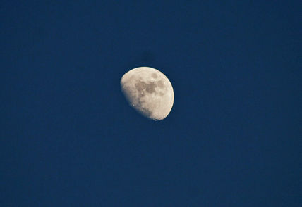 Early Moon in Winter