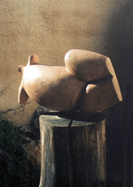 Nude torso
