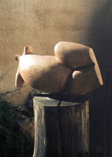 Nude torso