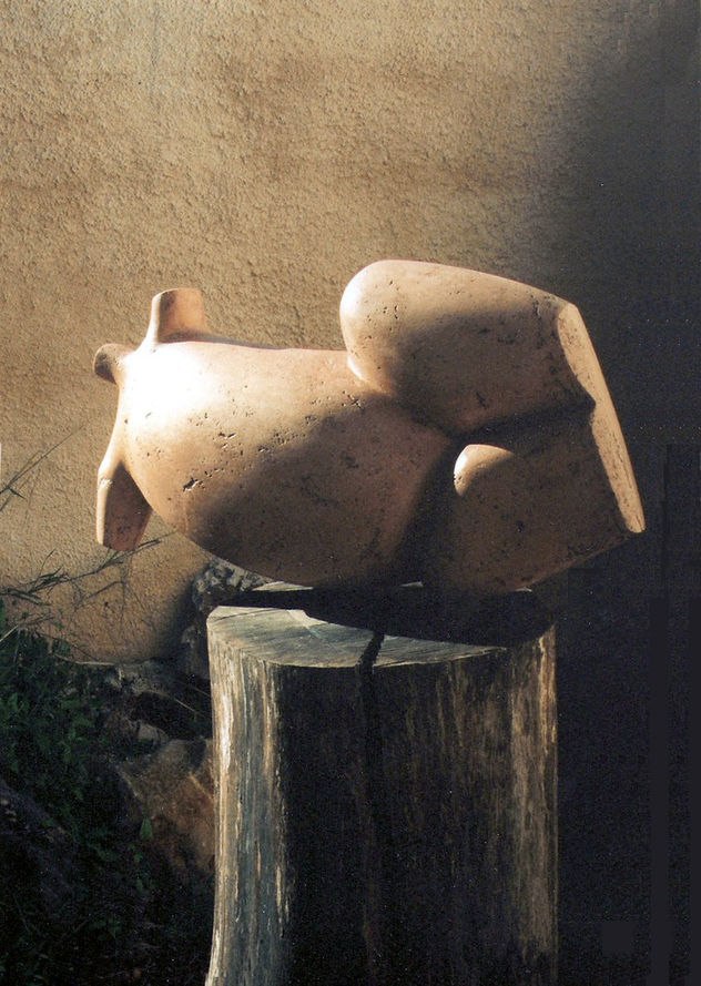 nude torso