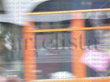 Wellington Luk -...