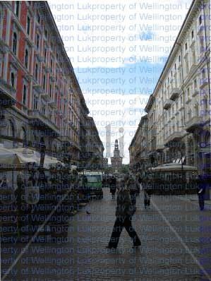 Wellington Luk -...