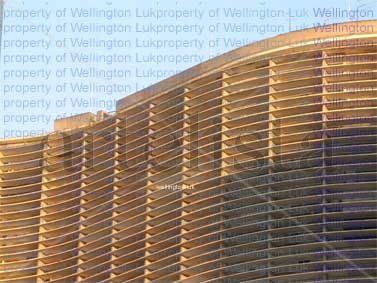 Wellington Luk -...