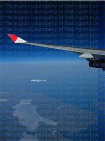 Wellington Luk -...