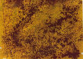 AMARILLO,VERDE Y NEGRO,1981
