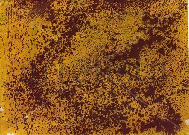 AMARILLO,VERDE Y NEGRO,1981