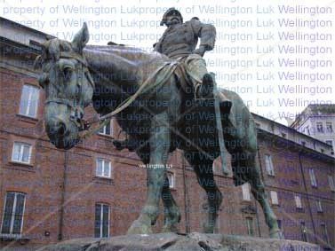 Wellington Luk -...