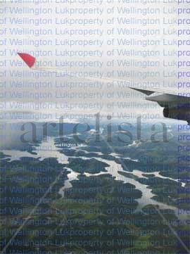 Wellington Luk -...