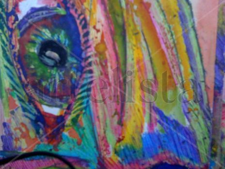 The Eye