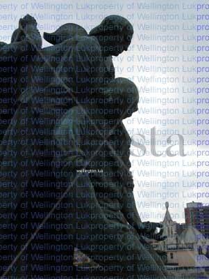 Wellington Luk - Statues - Photography