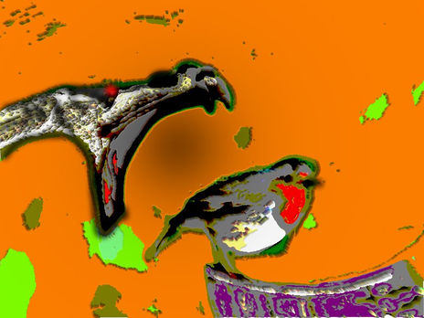 Snake