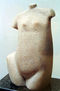 torso