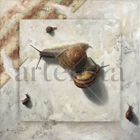Triangle of snails