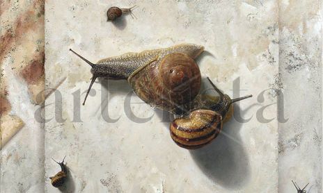 Oil on acrylic plaster