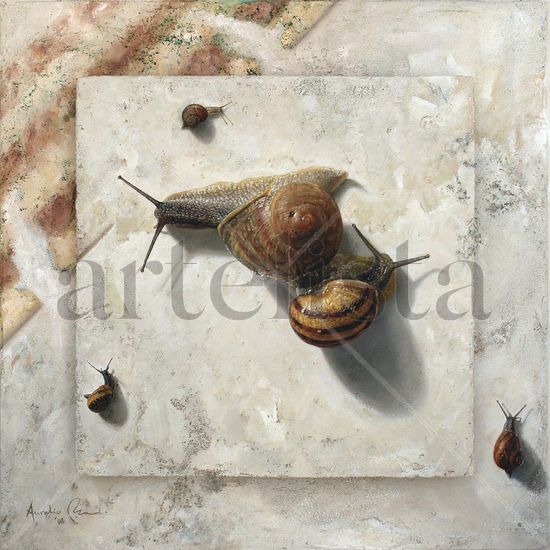 Triangle of snails Oil Others Still Life Paintings