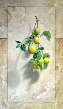 Branch of lemons