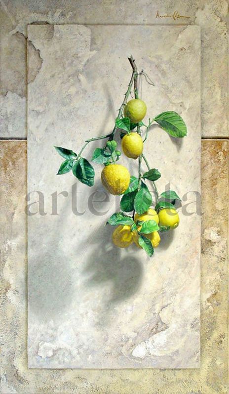 Branch of lemons