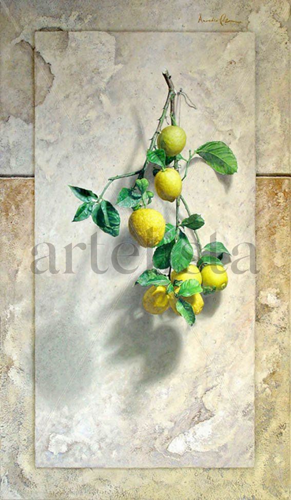 Branch of lemons