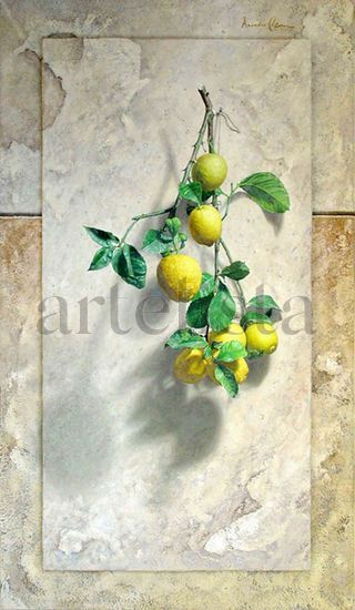 Branch of lemons Oil Others Still Life Paintings