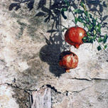 Oil on acrylic plaster thumbnail 1