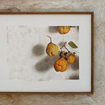 Pastel thumbnail 1