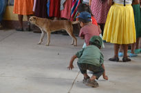 Niños al acecho