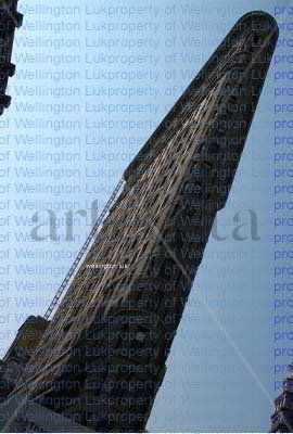 Wellington Luk -...