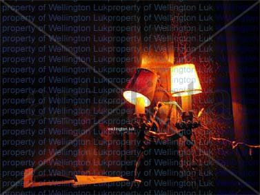 Wellington Luk - Lamp 2 - Photography