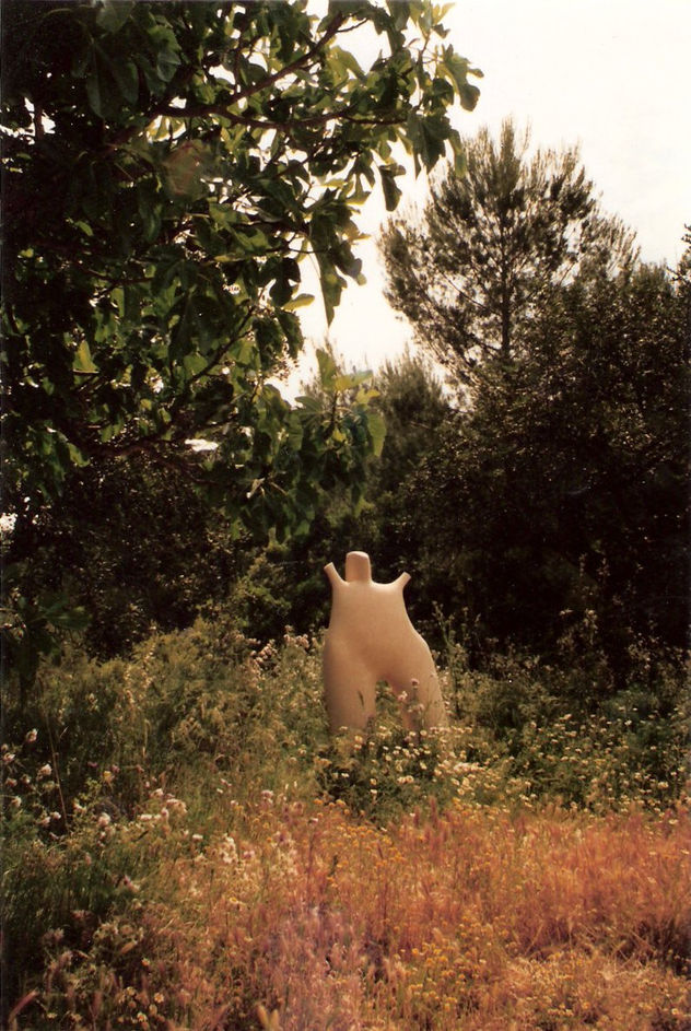 torso