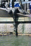 Wellington Luk - Drowning - Photography
