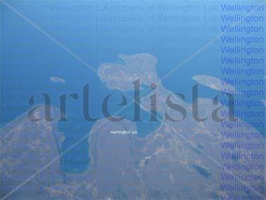Wellington Luk -...