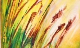 Flora