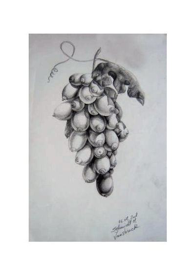 grapes 